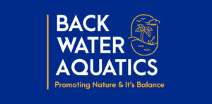 BWA LOGO-01-01